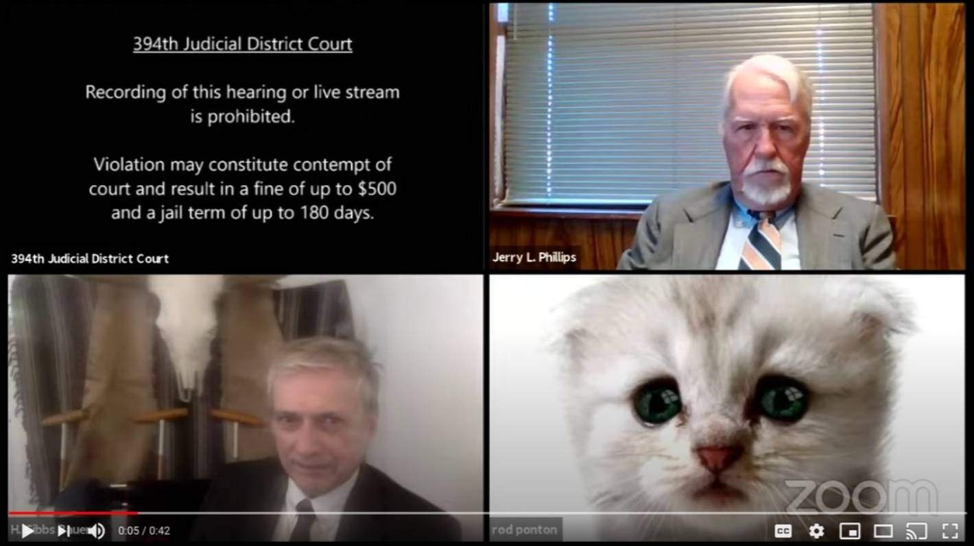 Zoom fail - lawyer appears as cat in virtual meeting